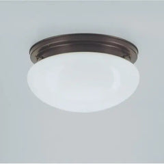 Collection image for: Deckenringe