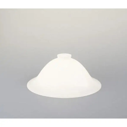 lampen-glasschirm-38 Opal